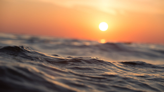 Hay un enorme desierto en mitad del Oceano Pacífico, y un equipo de científicos ha ido allí a buscar vida